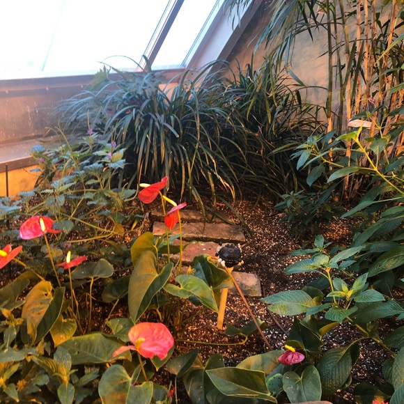 Meet your Posher, Kadiann - Picture 1 of 1